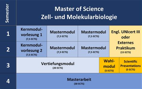 molekularbiologie gehalt